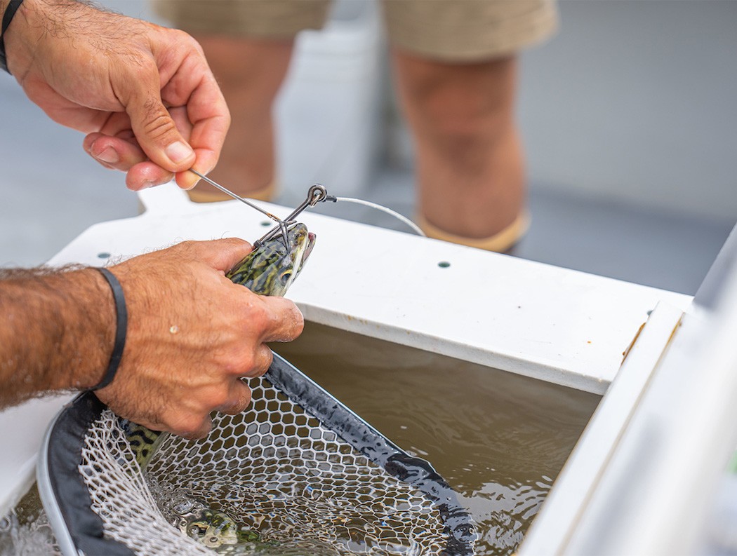 A photo of a man holding a fish