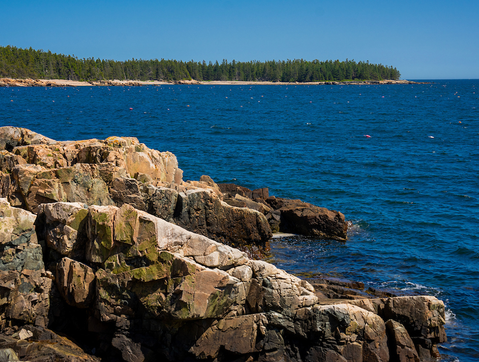 A photo of the Schoodic coast