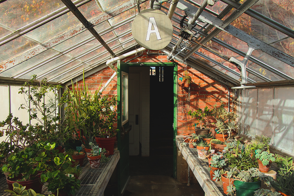 Interior of Greenhouse