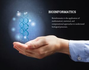 Bioinformatics is the application of mathematical, statistical, and computational approaches to understand biological processes.