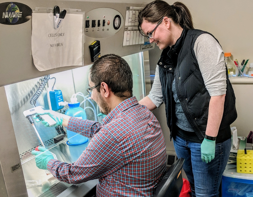 Students work in Maginnis Lab