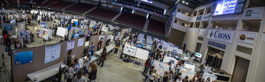 UMaine Student Symposium panorama