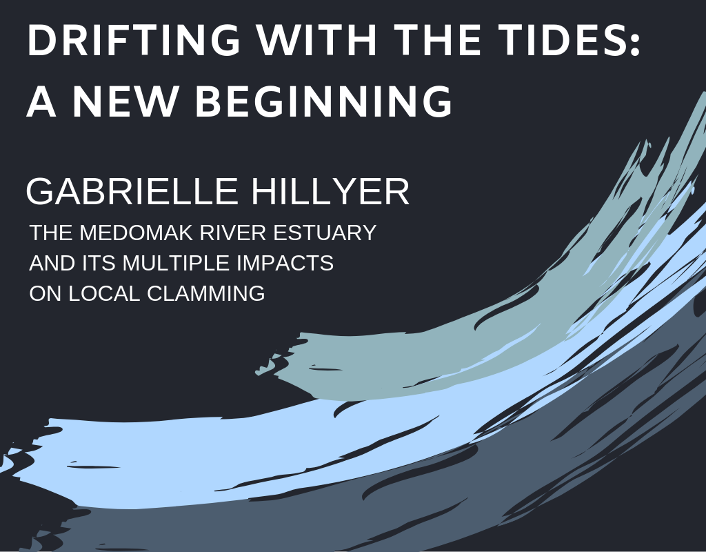 Drifting with the Tides: A New Beginning, project by Gabrielle Hillyer, studying impacts on local clamming