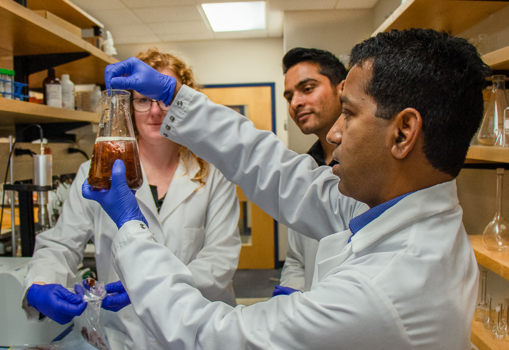 Balu Nayack studies seaweed in lab