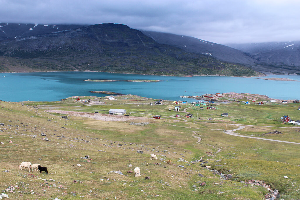 Greenlandic landscape