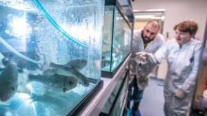 image of researchers next to salmon tanks