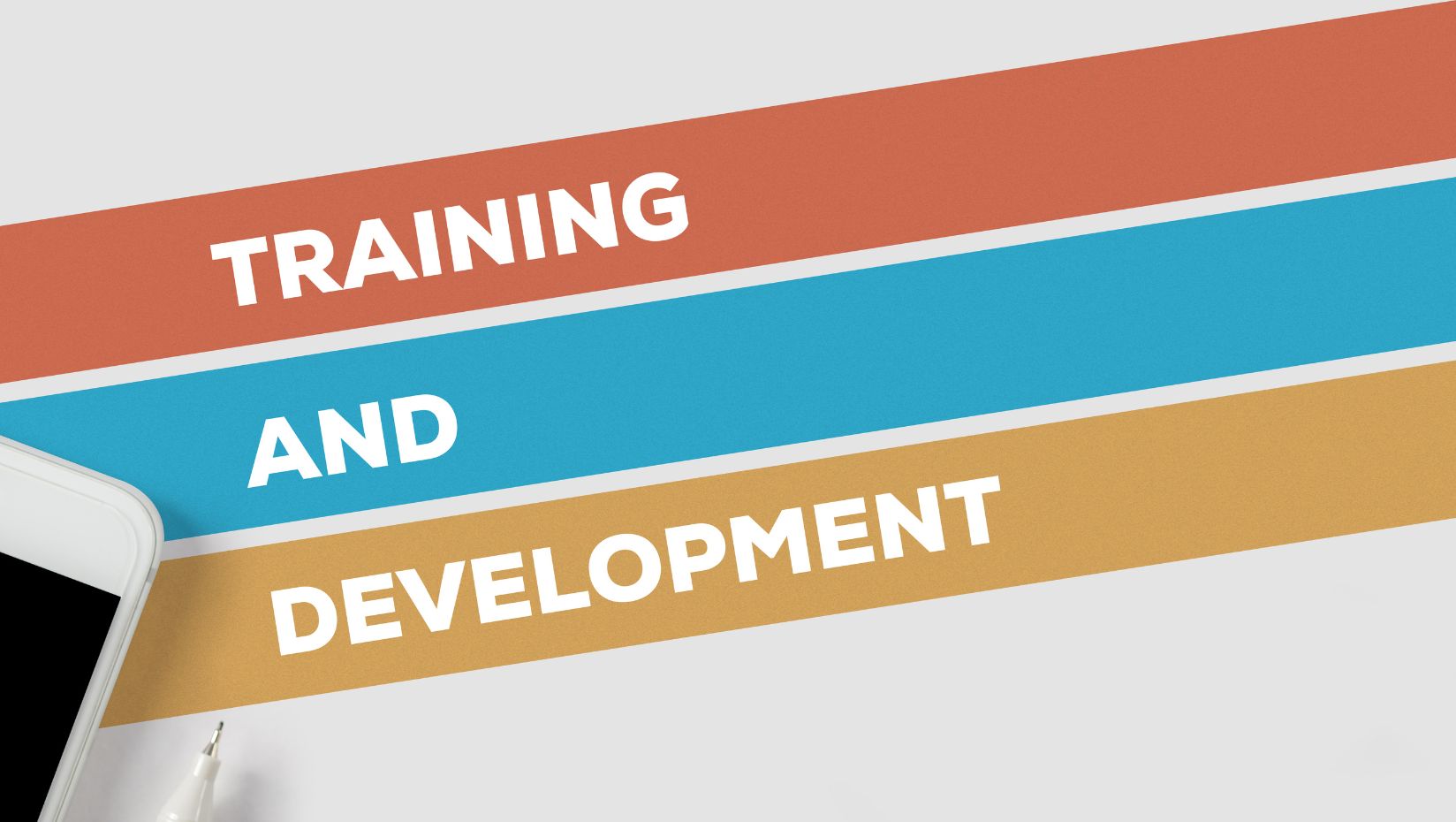 image with the words "training and development"
