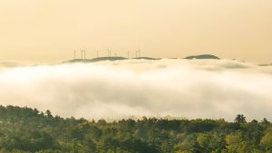 Wind energy turbines dot a skyline at dawn. A band of fog and forests are in the foreground.
