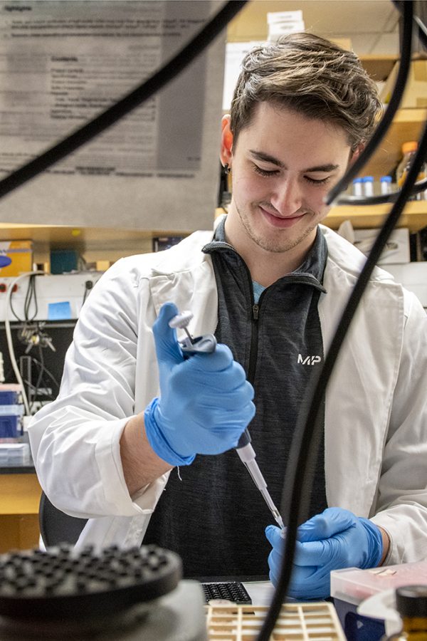 A student uses a pipette to place liquid in a sample tube.