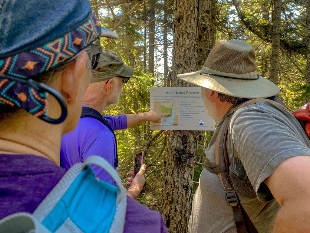 ISP researchers look at sign on tree