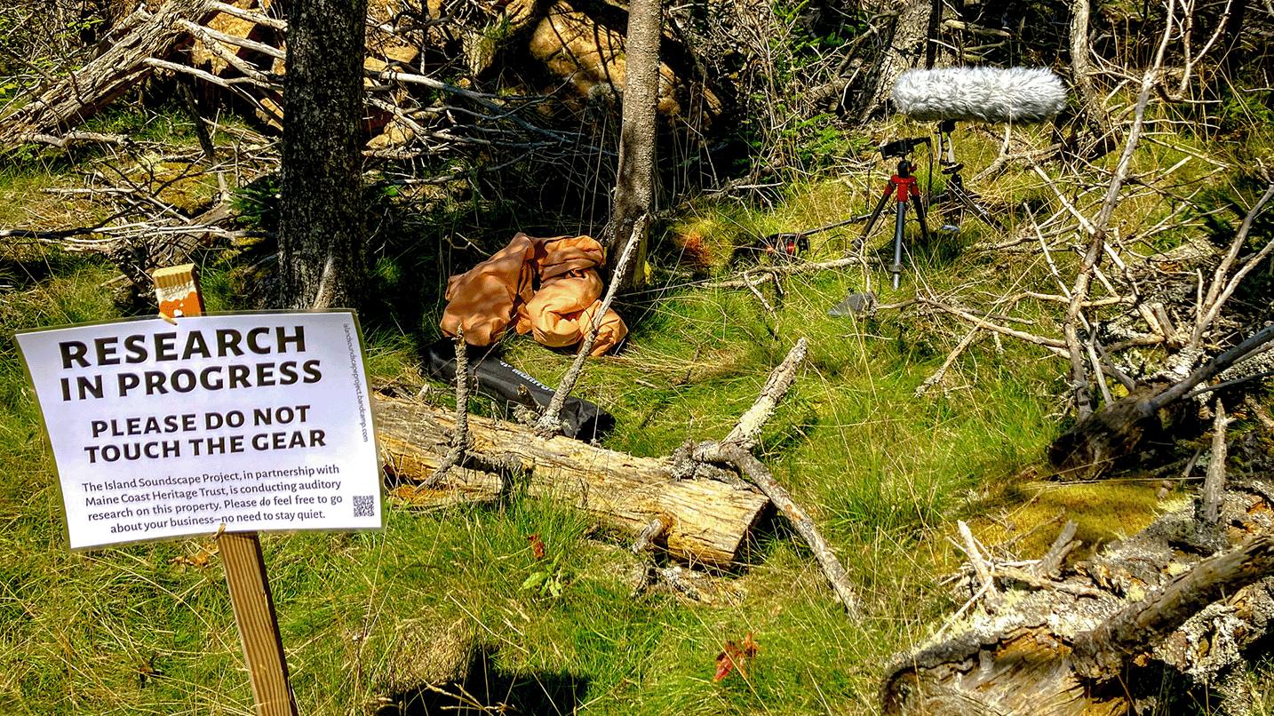 featured image for The Island Soundscape Project, capturing Maine’s sonic environments