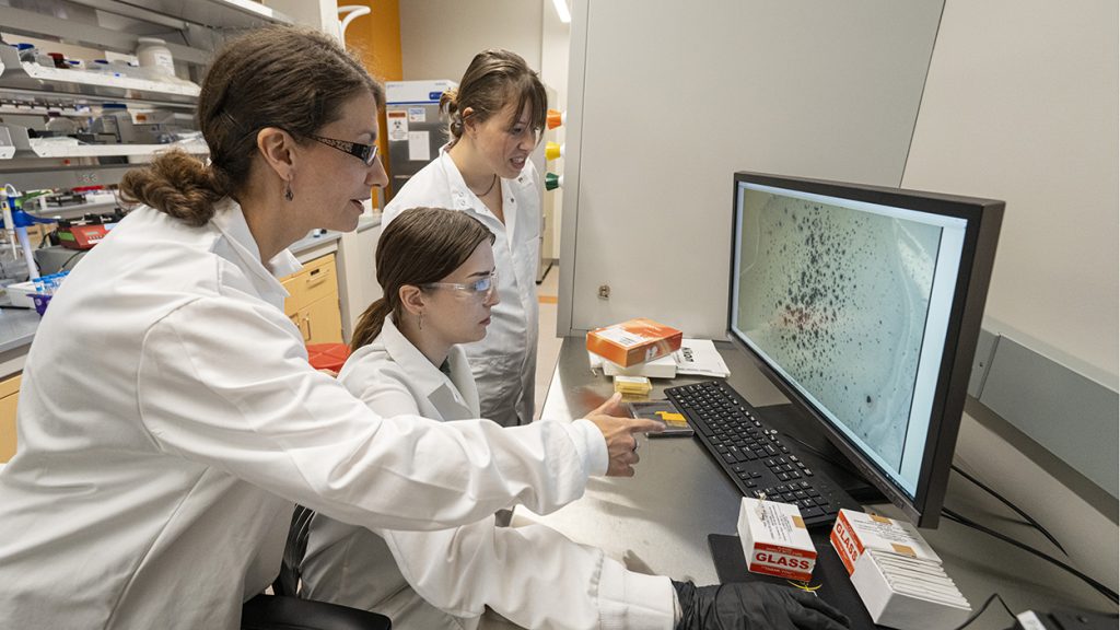 Students look at computer screen with professor in lab coats