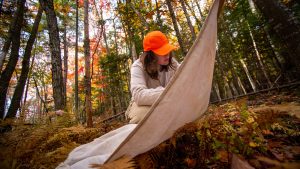 A person examines a white survey cloth for ticks in the forest