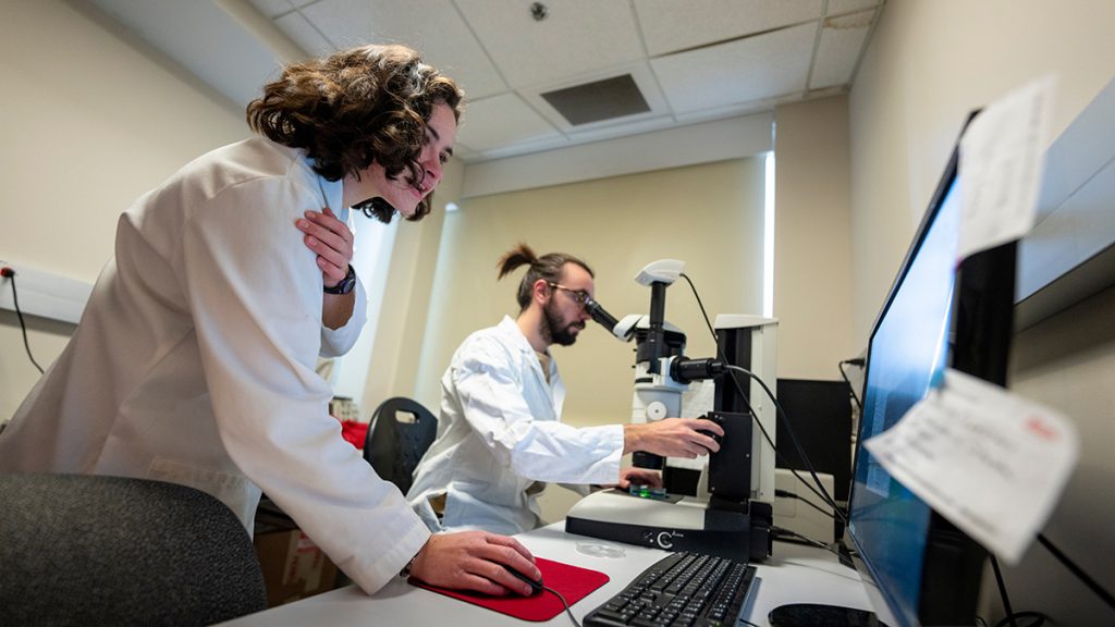 Two GSBSE students work together in a lab