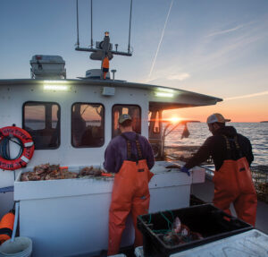 lobstering Maine coast