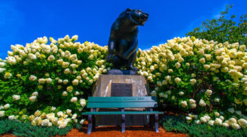 Statue of black bear on UMaine mall