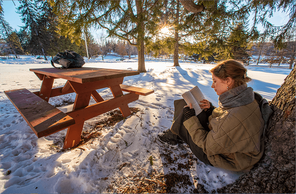 A student reads at the base of a tree in this winter scene