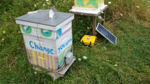 Bee hive monitor (gray box) mounted on a bee hive. The radio-linked base station (yellow box) collects the data from multiple monitors and displays the data on a web page.