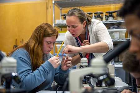 A teaching partner working with a middle school student