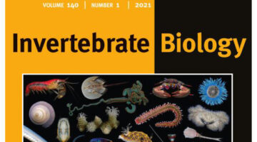 Invertebrate Biology cover cropped