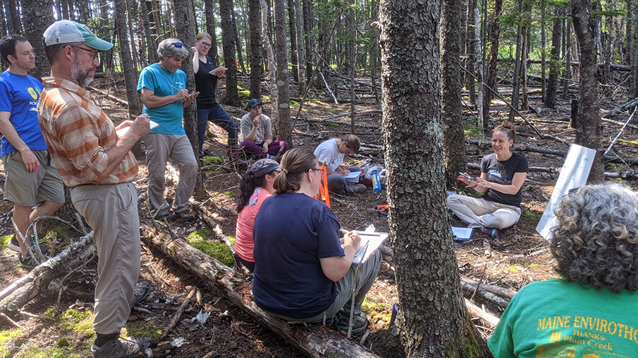 Group of educators in outdoor learning environment