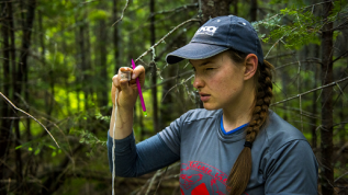 Photo of Forestry researcher in the woods