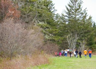 There are pine trees and other trees that have lost their leaves. In the corner of the image, children march into the woods with their teachers for outdoor learning