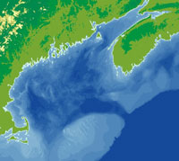 satellite image