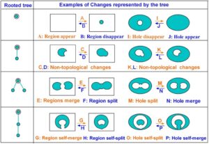 Spatio-temporal Data Models