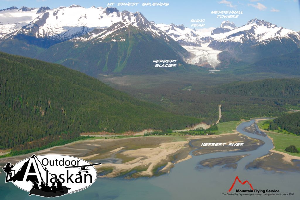 Aerial view of Herbert River and Glacier, along with surrounding forests.