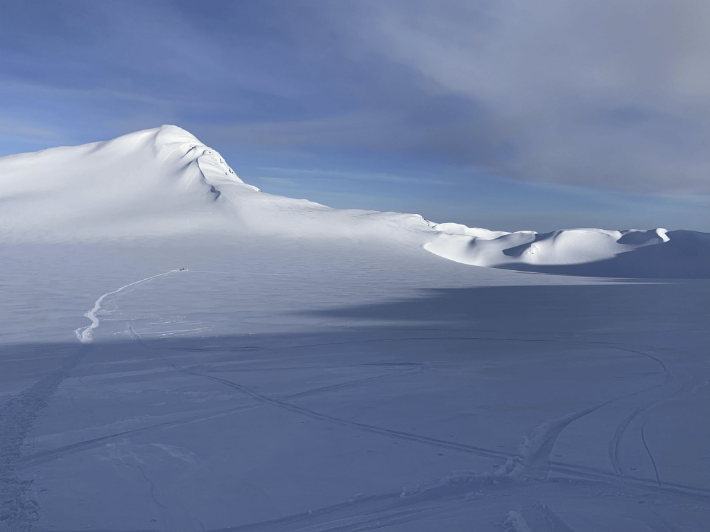 Lemon Creek Glacier snowfield.