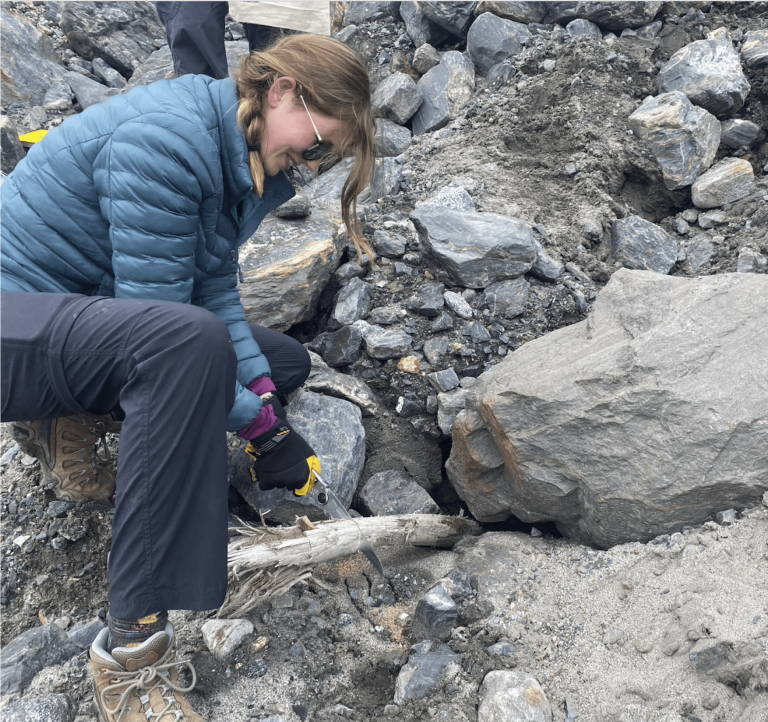 A student sawing through decaying wood in a rock outcrop.