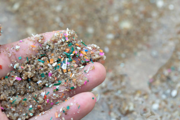 A hand holding sand with microplastics in it