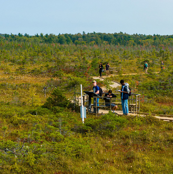 A photo of students working in the field