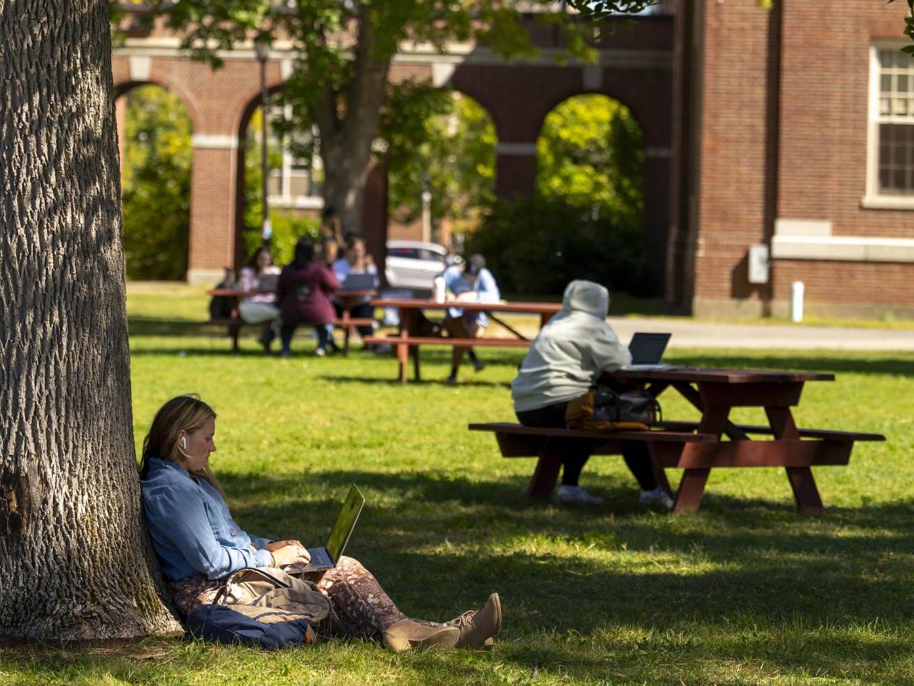 A photo of people sitting on UMaine's Mall in summer