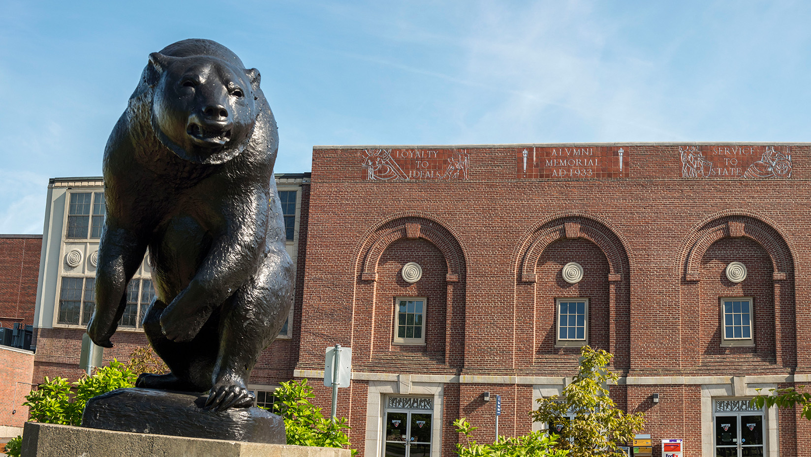 Fighting Black Bear - Self-Guided Walking Tours - University of Maine