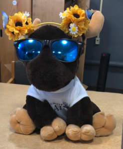 stuffed animal moose wearing sunglasses