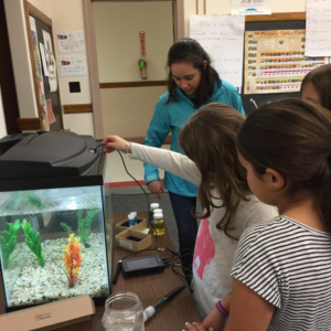 SMART Intern Annalyse helping students learn how to sample water