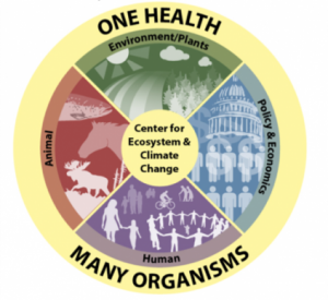 Initiative for One Health logo