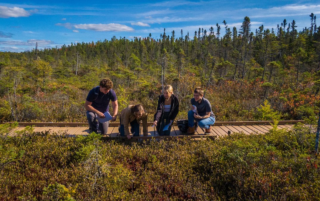 A photo of students working on the bogwalk