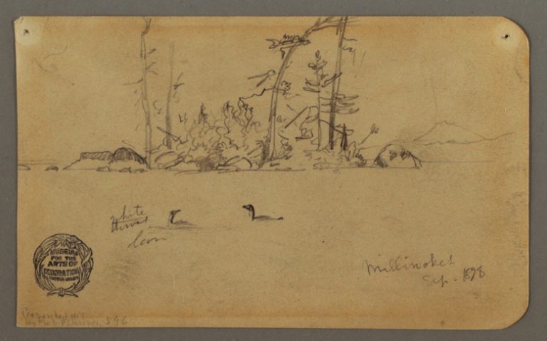 A drawing from 1878 of an island Two Loons