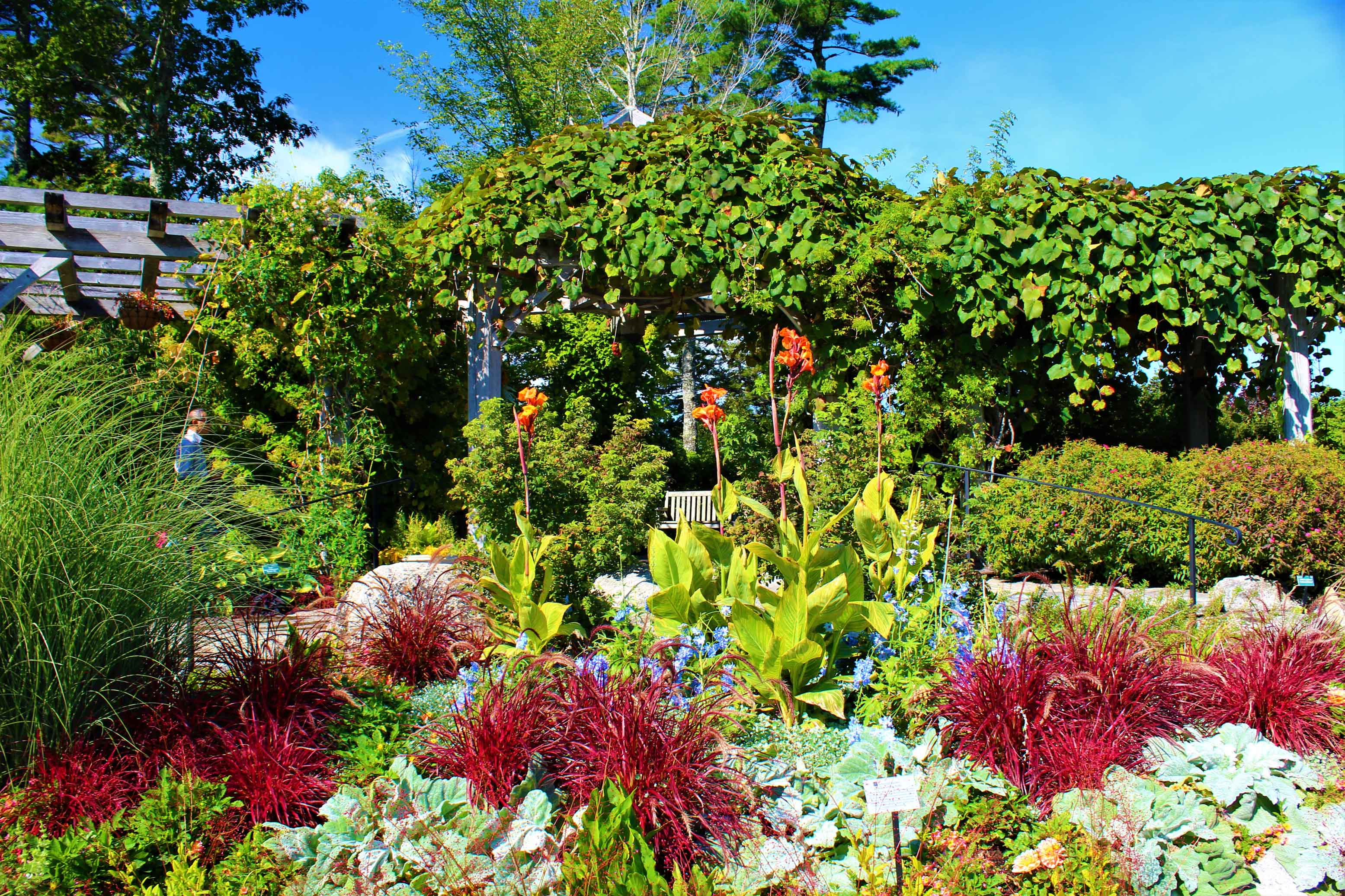 A Midsummer Stroll Through The Coastal Maine Botanical Gardens