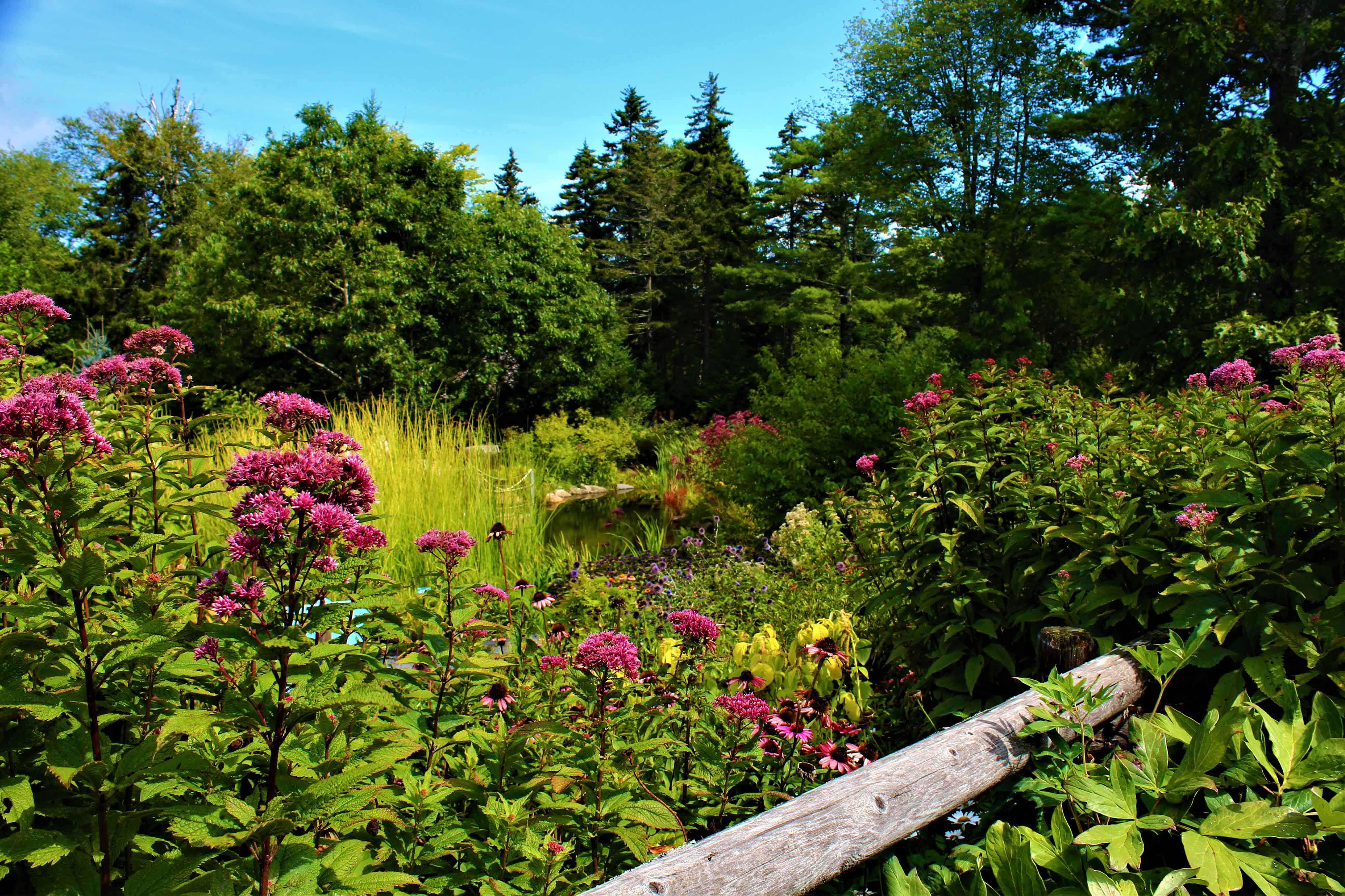 Botanical Garden Maine Fasci Garden