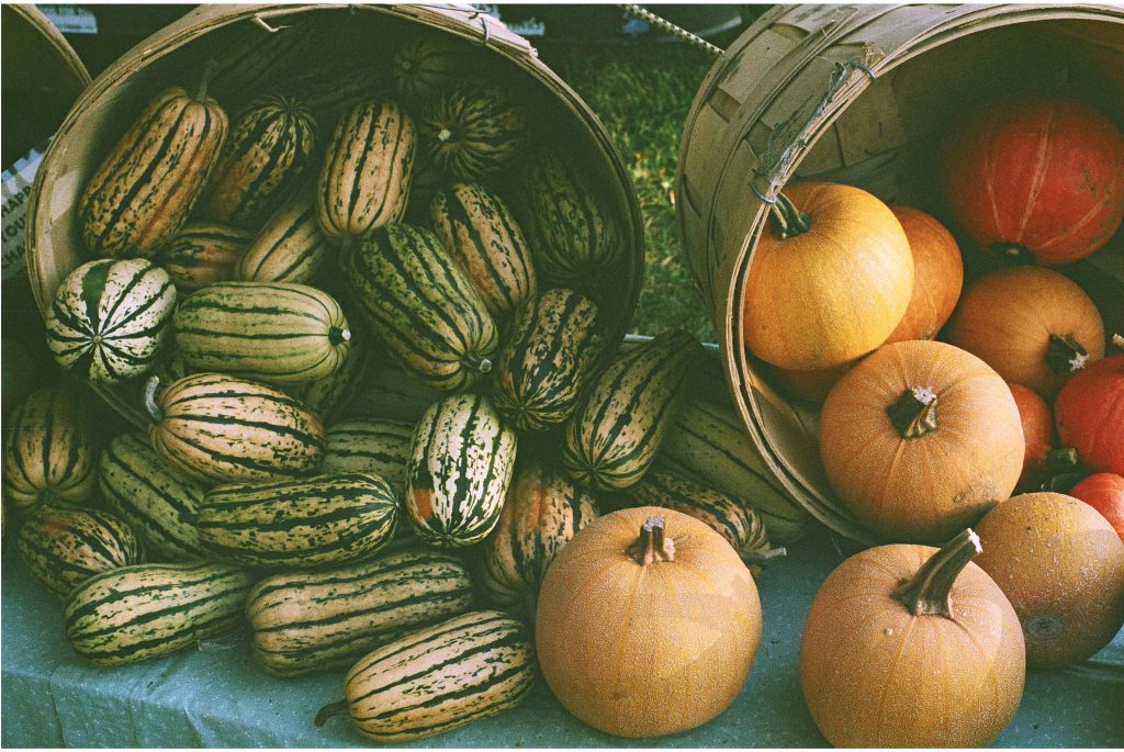 Unity, ME, photo of various colored squash