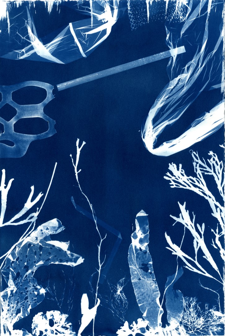 Cyanotype Impressions of the Atlantic Ocean in Maine - The Maine Journal of  Conservation and Sustainability - University of Maine