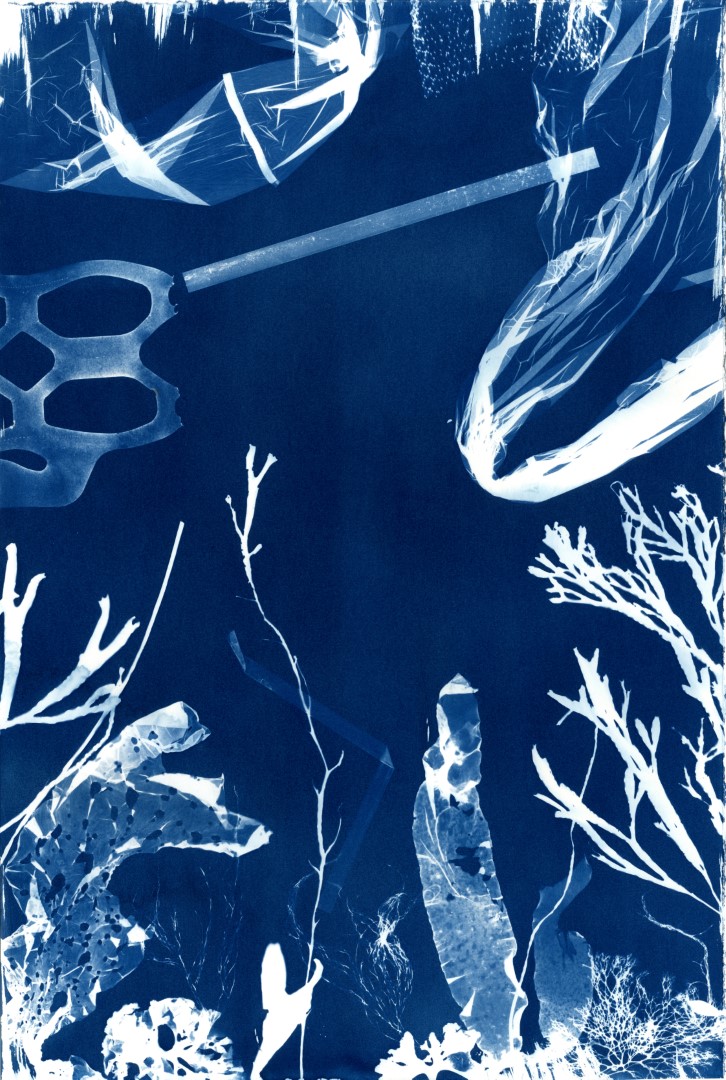 Cyanotype Impressions of the Atlantic Ocean in Maine - The Maine