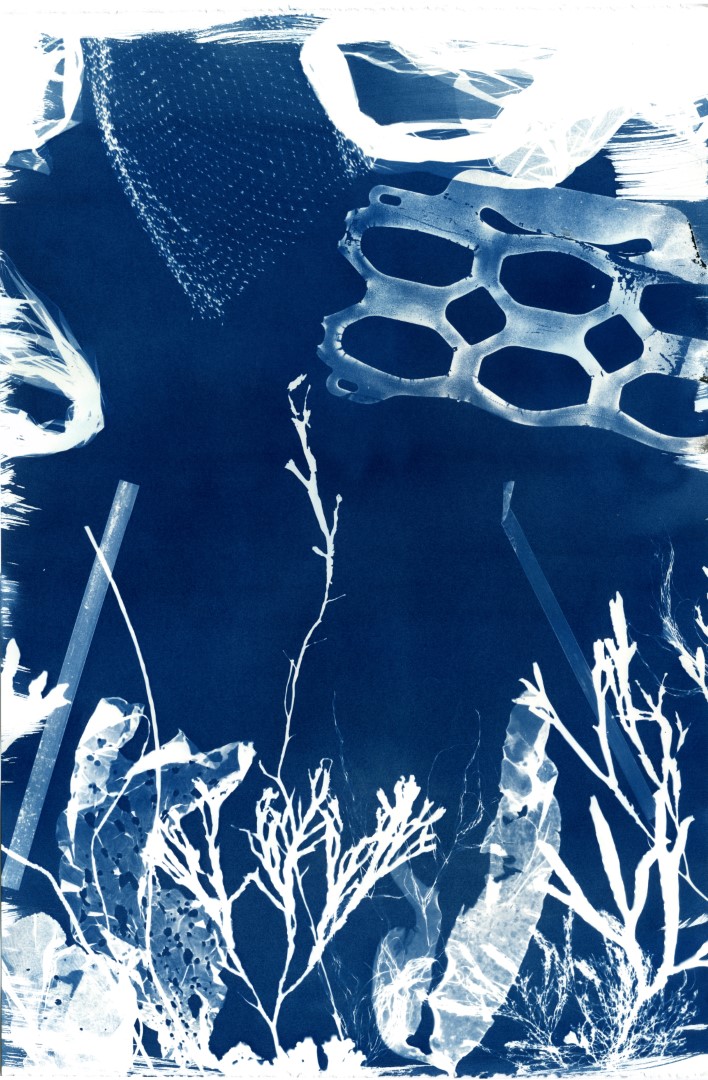 Cyanotype Impressions of the Atlantic Ocean in Maine