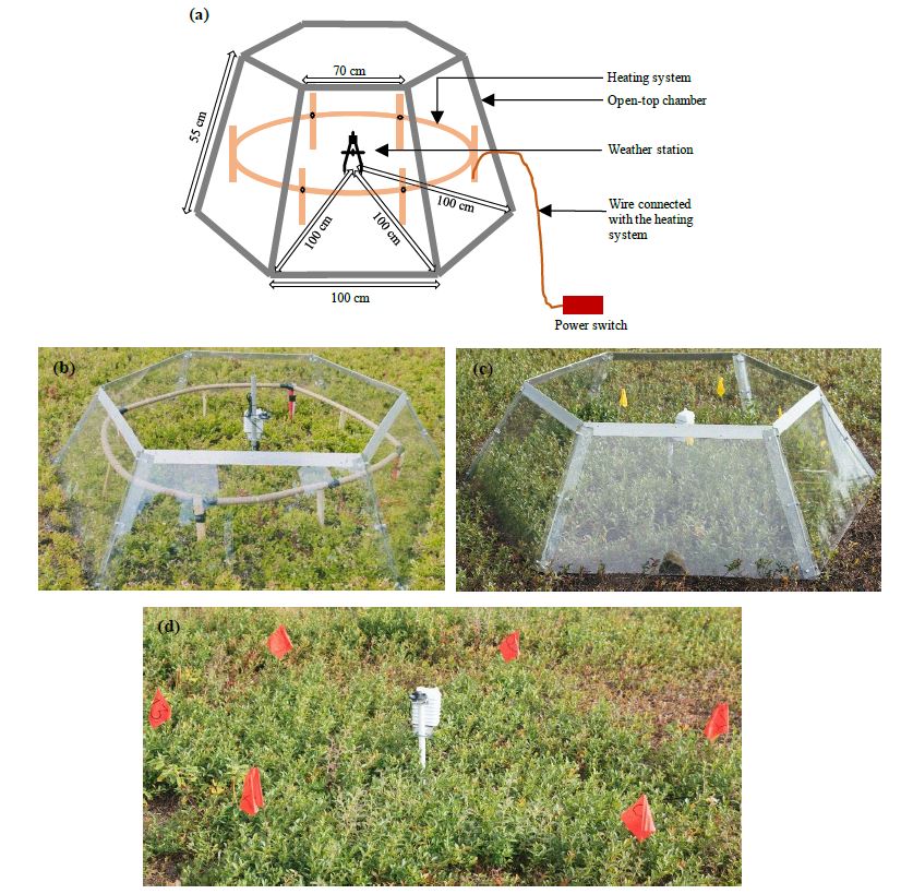 A chart and collage of a blueberry barren