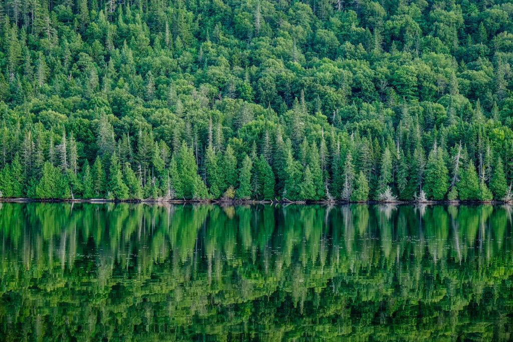 A photo of a lake