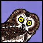 A drawing of an owl